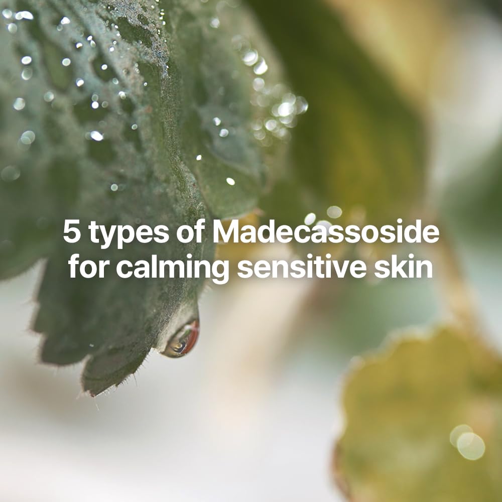 Pyunkang Yul Calming Line Gift Box Set - Korean Facial Skin Care Essential for Daily Moisturizing, Safe on Acne Prone & Sensitive Skin, Vegan & Cruelty Free - Image 5