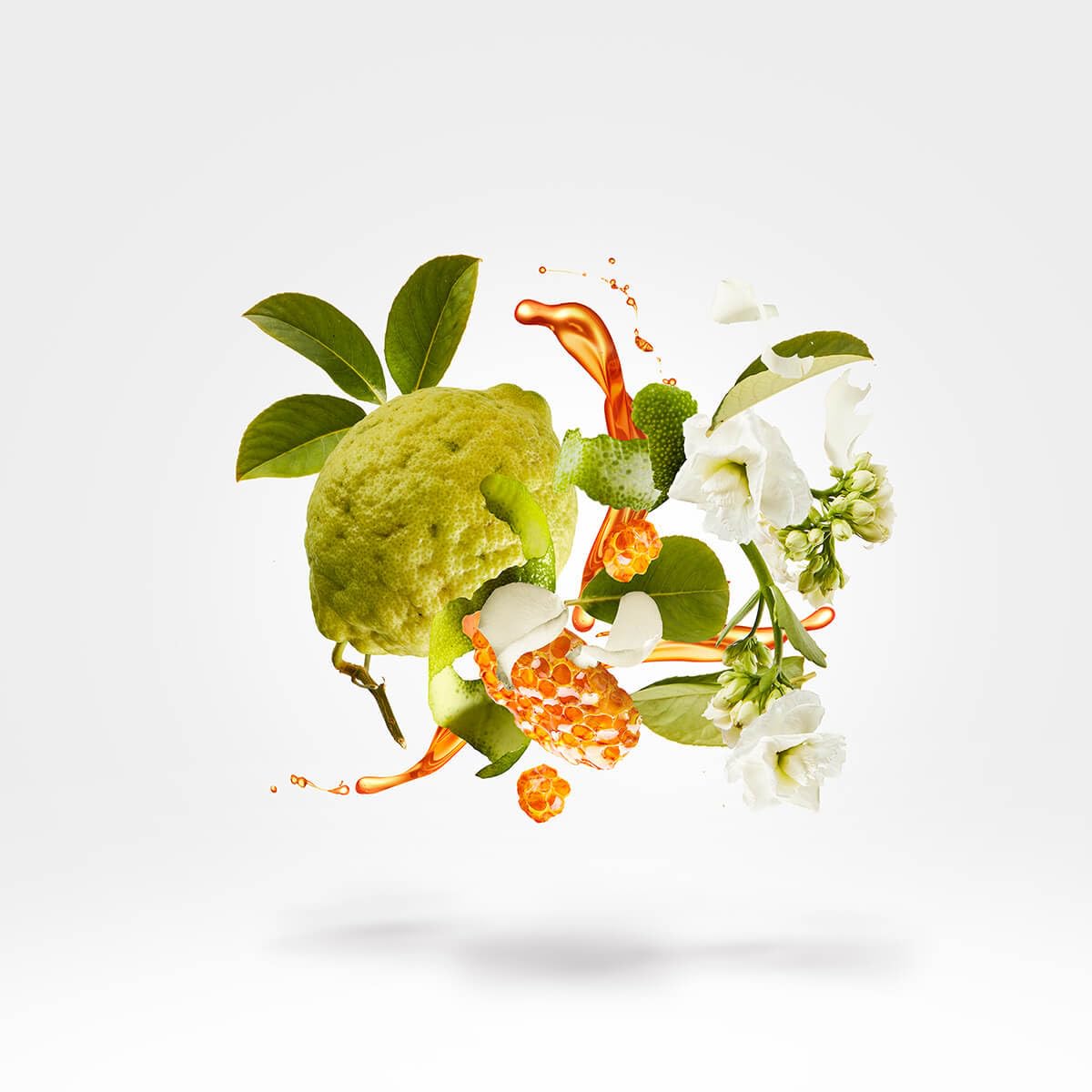 XERJOFF Naxos Eau de Parfum – Luxury Fragrance for Men & Women – 3.4 Fl Oz - Image 7