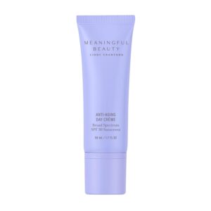 Meaningful Beauty Environmental Protecting Moisturizer Broad Spectrum SPF 30