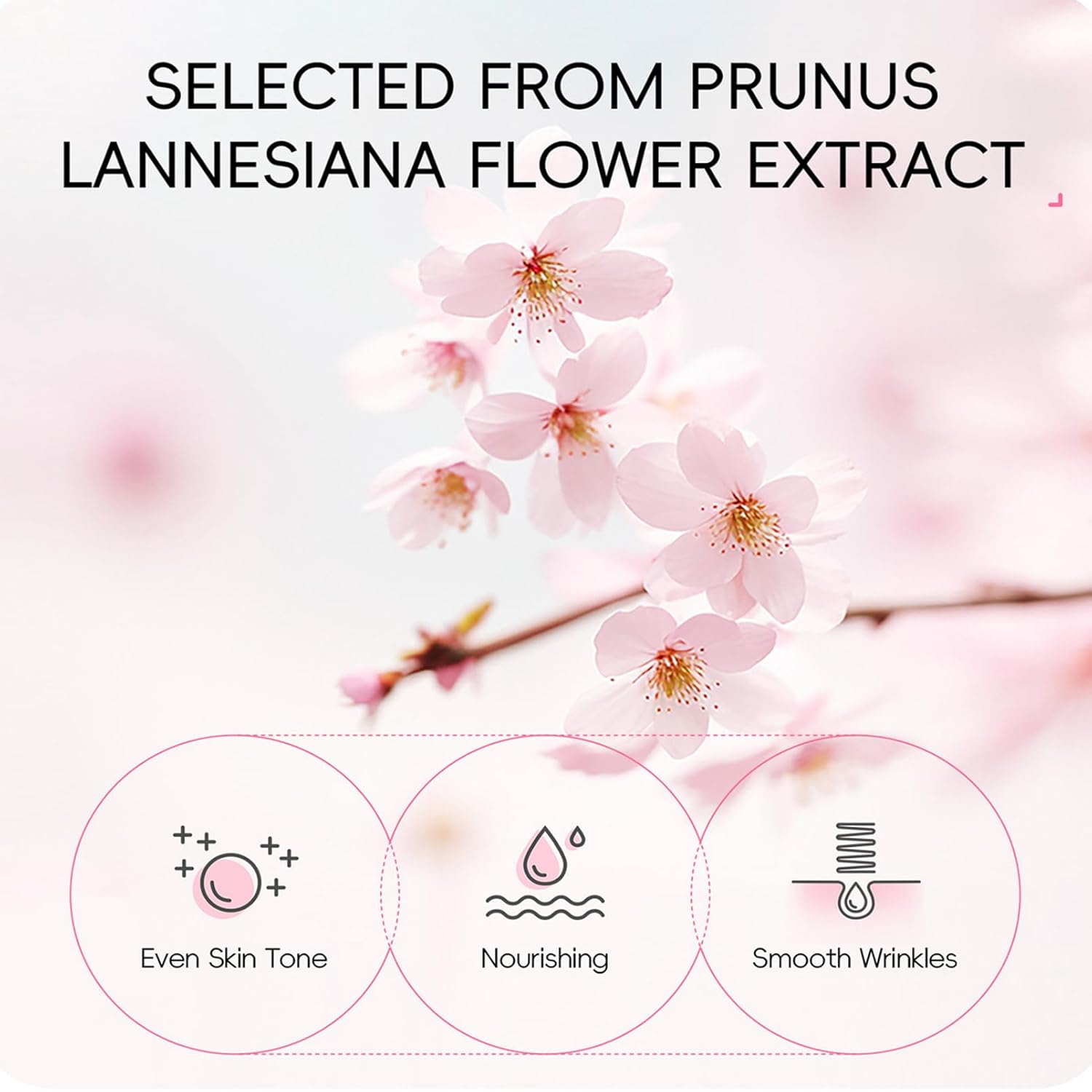 Skin Care Set Sakura Women Beauty Gift Sets Korean Skin Care Kit- Cleanser,Serum,Face Cream,Toner,Eye Cream,Mud Mask-Skin Care Routine Kit (One Size, Cherry Blossom-StyleB-Luxury Moisturizing) - Image 2