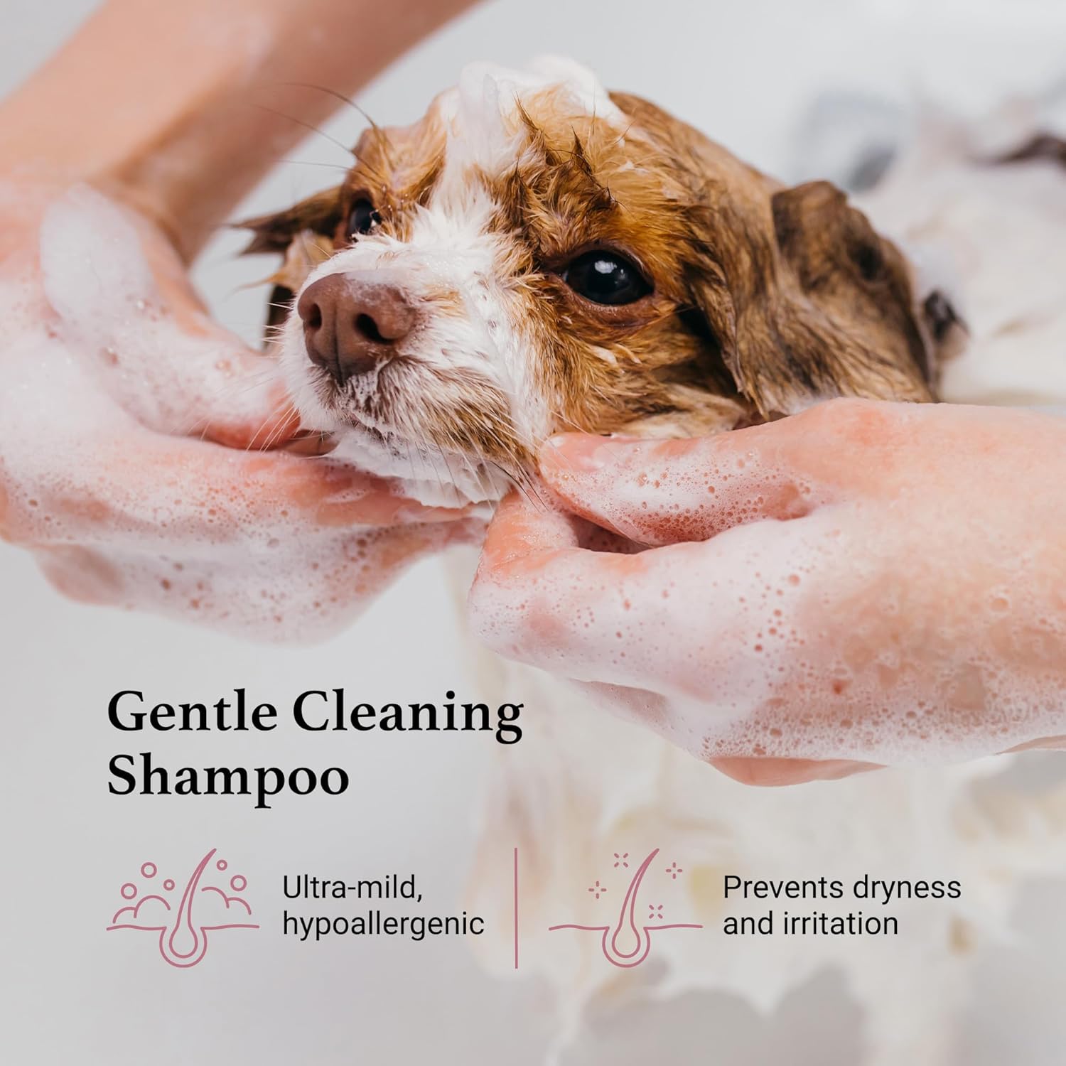 iGroom Tearless Facial Dog Shampoo, Luxury Pet Beauty Care, Ultra Mild to Eyes, Restore Skins Natural Moisture, Made in USA, Gallon - Image 3