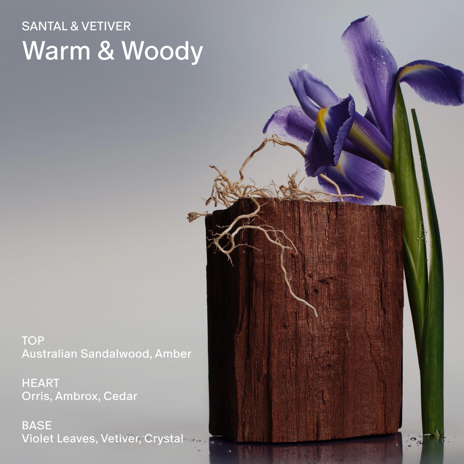 SALT & STONE Natural Deodorant - Santal | Extra Strength Natural Deodorant for Women & Men | Aluminum Free with Probiotics, Seaweed Extracts & Shea Butter (2.6 oz) - Image 3