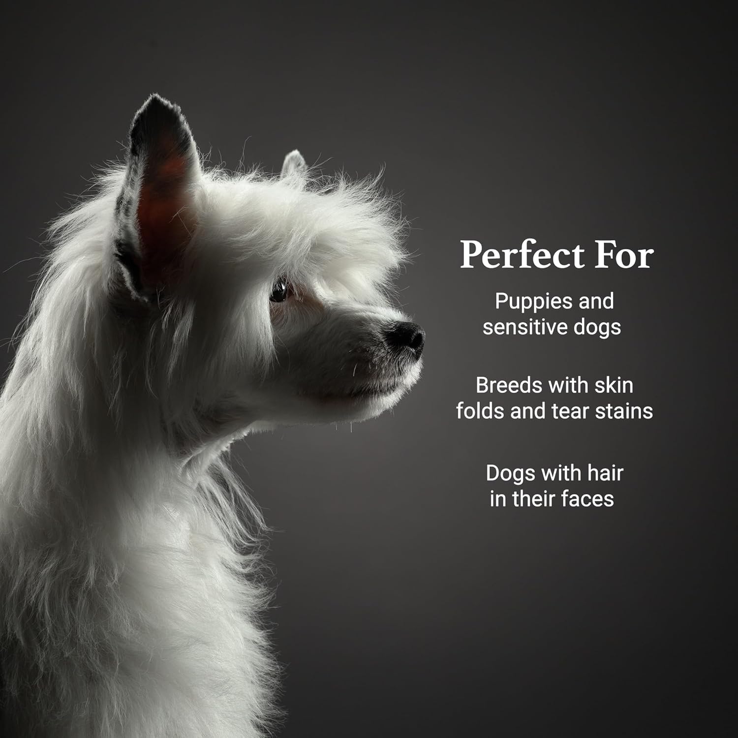 iGroom Tearless Facial Dog Shampoo, Luxury Pet Beauty Care, Ultra Mild to Eyes, Restore Skins Natural Moisture, Made in USA, Gallon - Image 6