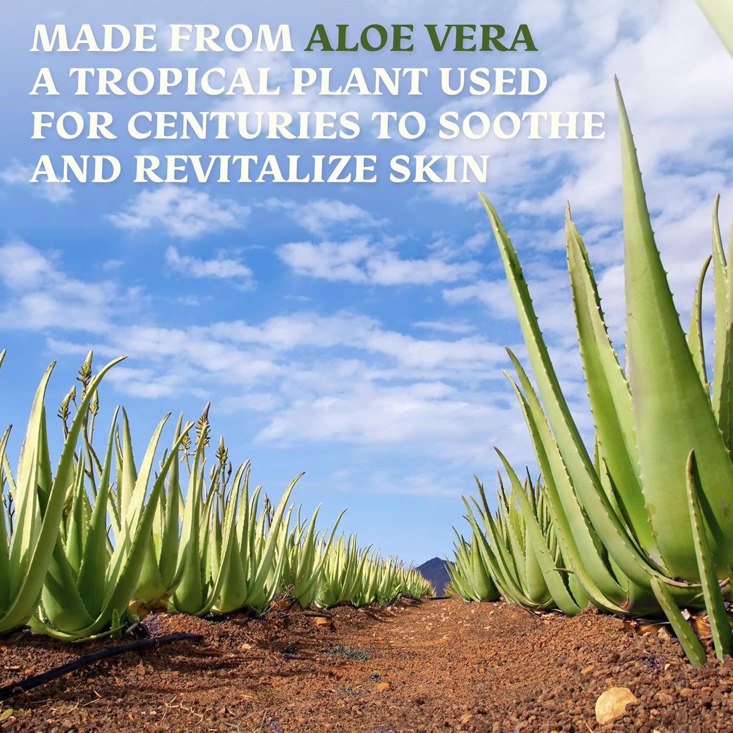 Amazing Aloe Vera Gel - Freshly Cut, 100% Pure Aloe, Premium Quality, Vegan, Unscented - Natural Sunburn Relief, After Shave, Skin, Face & Hair Care 8oz - Image 9
