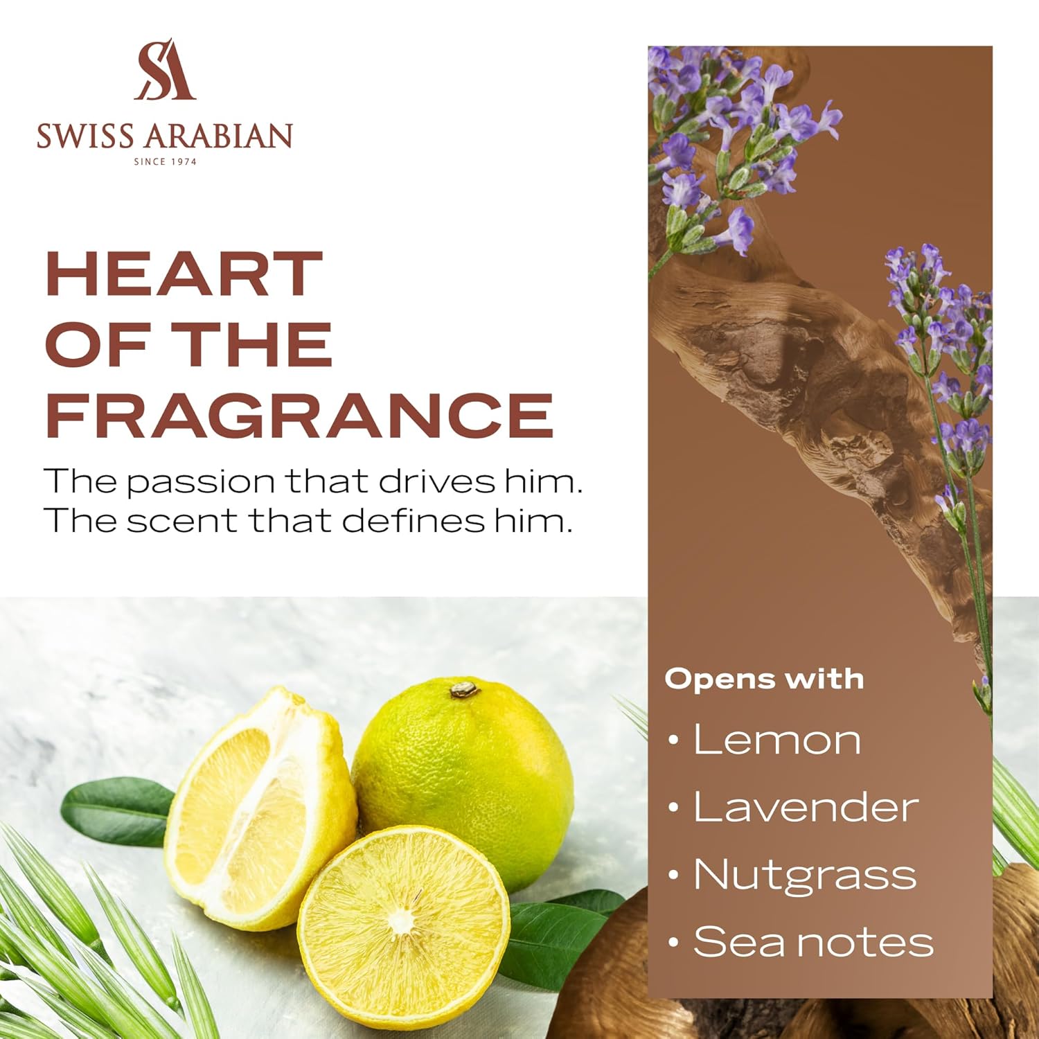 Swiss Arabian Shaghaf (Masculine) - Luxury Products From Dubai - Long Lasting Personal EDP Spray Fragrance - A Seductive Signature Aroma - 2.5 Oz - Image 4