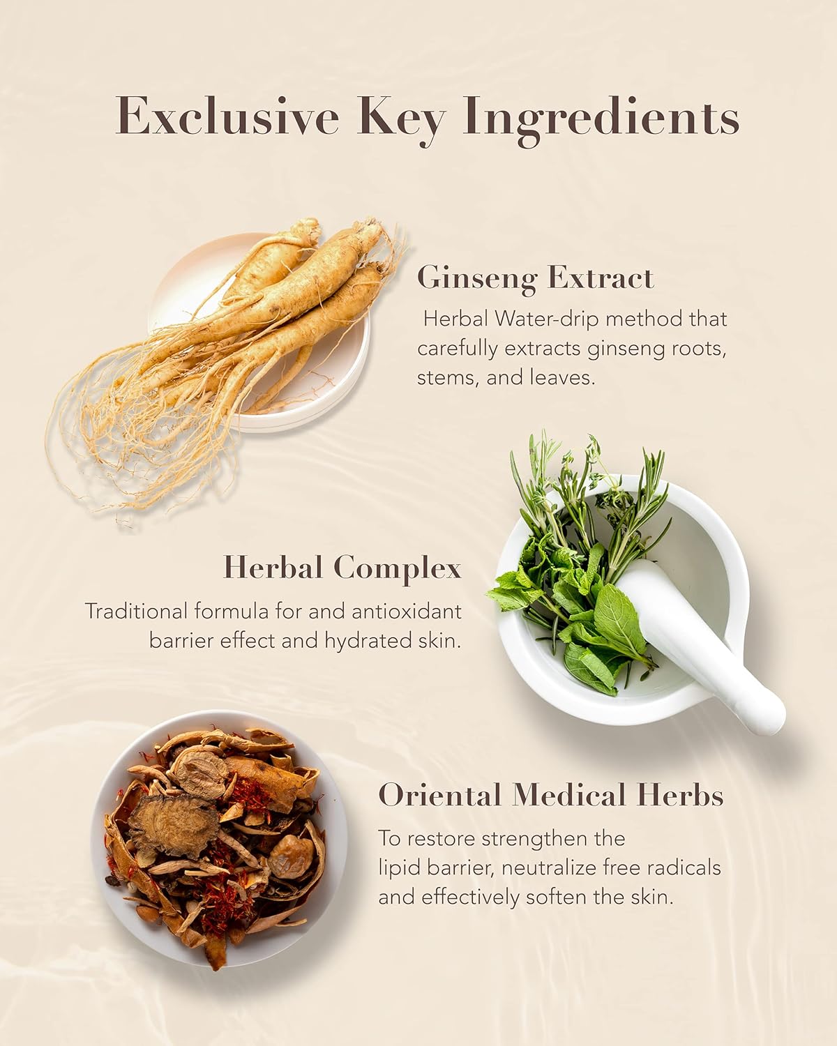 Sooryehan BON Extra Moisture Cream (1.7fl oz) - Premium Skin Moisturizer for Skin Barrier Night Repair by LG Beauty. Red Ginseng. - Image 3