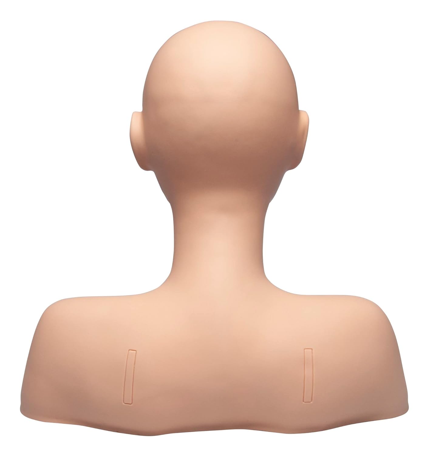 Diane Esthetics Mannequin Head with Shoulders for Massage, No Hair or Makeup, Physiology, and Training, Ideal for Professionals and Beauty School Students - Image 2