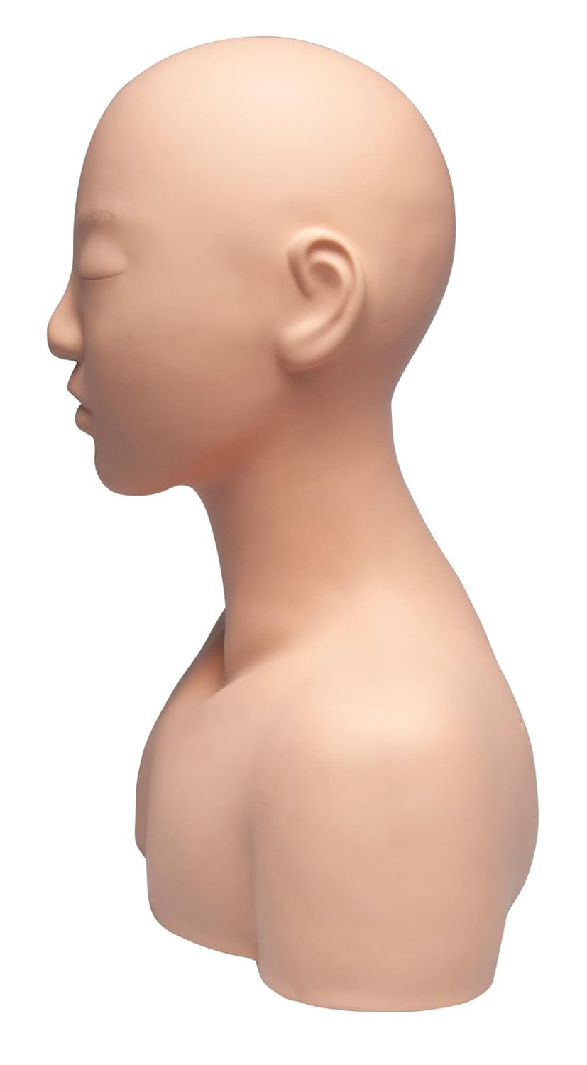 Diane Esthetics Mannequin Head with Shoulders for Massage, No Hair or Makeup, Physiology, and Training, Ideal for Professionals and Beauty School Students - Image 3
