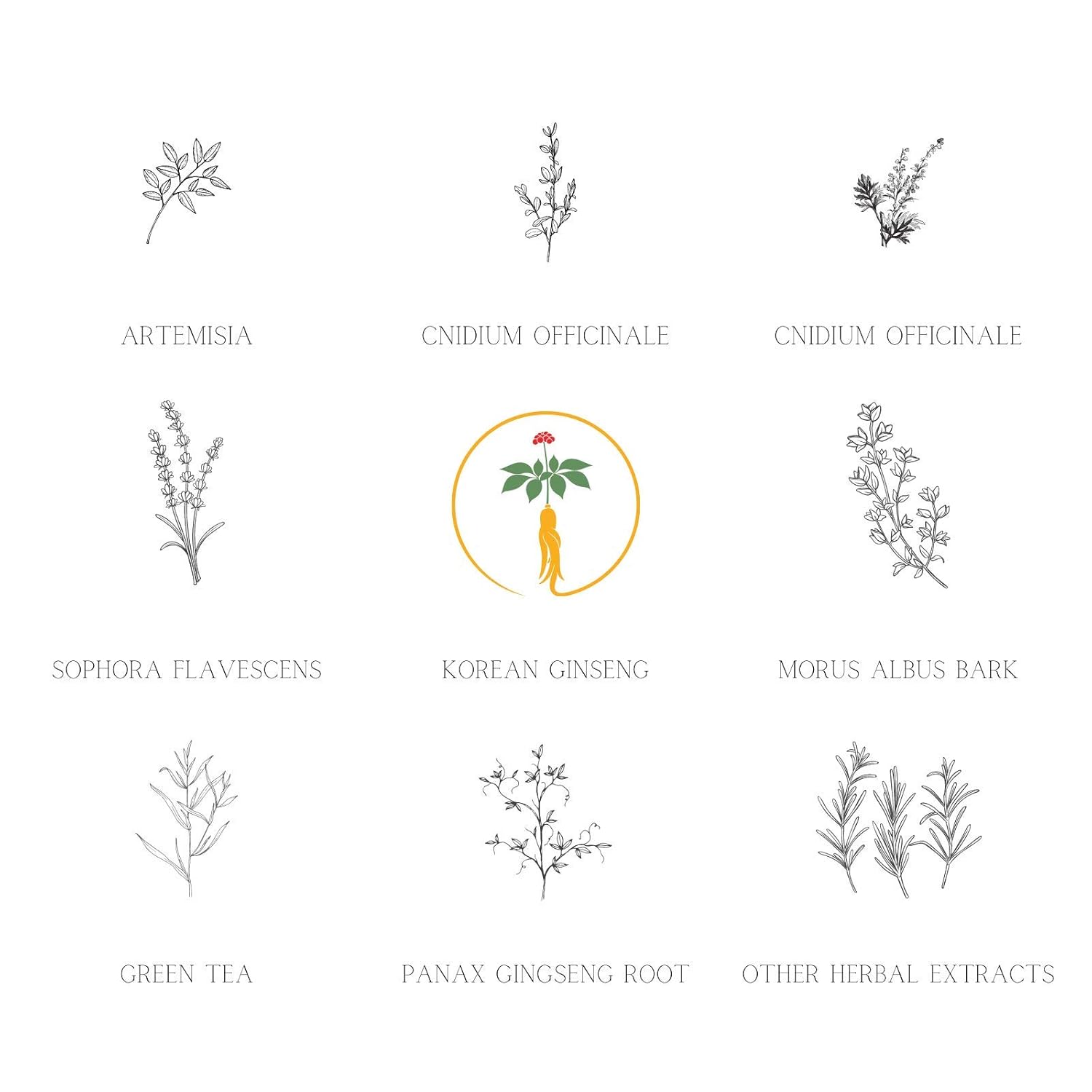 Daeng Gi Meo Ri- Ki Gold Premium Shampoo, Effectively Moisture to Dry and Rough Hair, No Artificial Color, 26.3 Fl Oz - Image 3