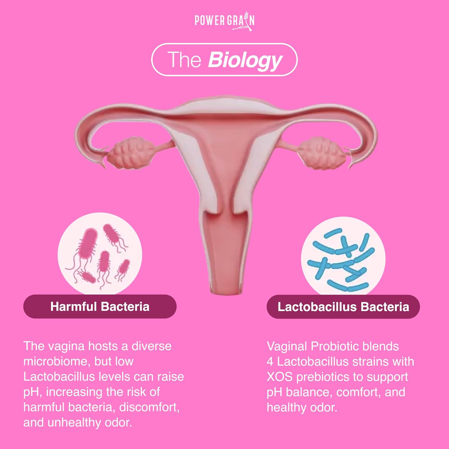 Premium Vaginal Probiotics Gummies – 5 Billion CFUs – pH Balance & Vaginal Health Support – Prebiotics & Digestive Enzymes – Supports Vaginal Flora & Odor Control–Yeast Infection Treatment - Image 4