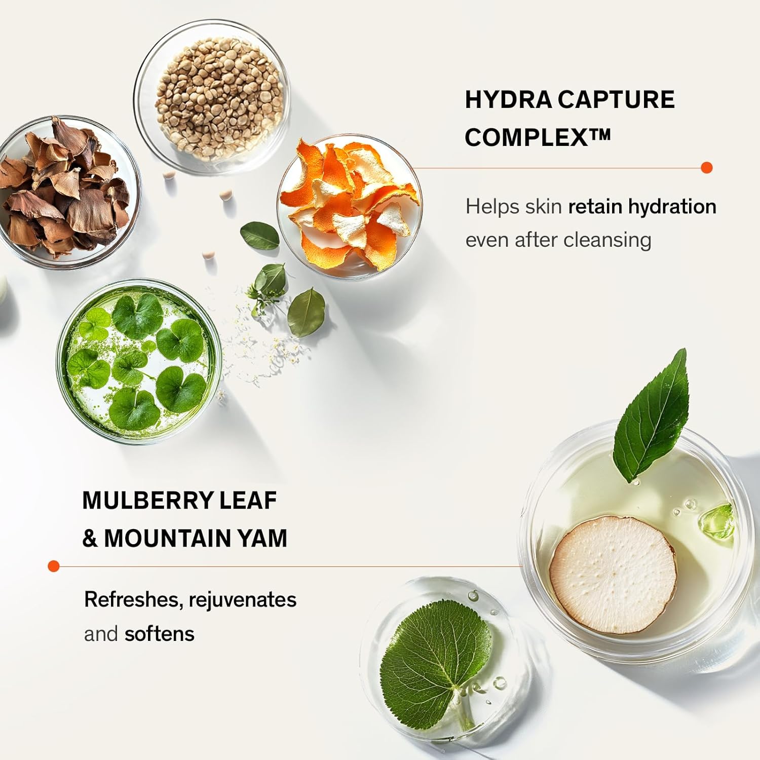 Sulwhasoo Gentle Cleansing Foam - Korean Face Wash for All Skin Types, Moisturizes & Rejuvenates, Removes Dirt & Impurities, Softens Skin, Hydrating Cleanser - Image 4