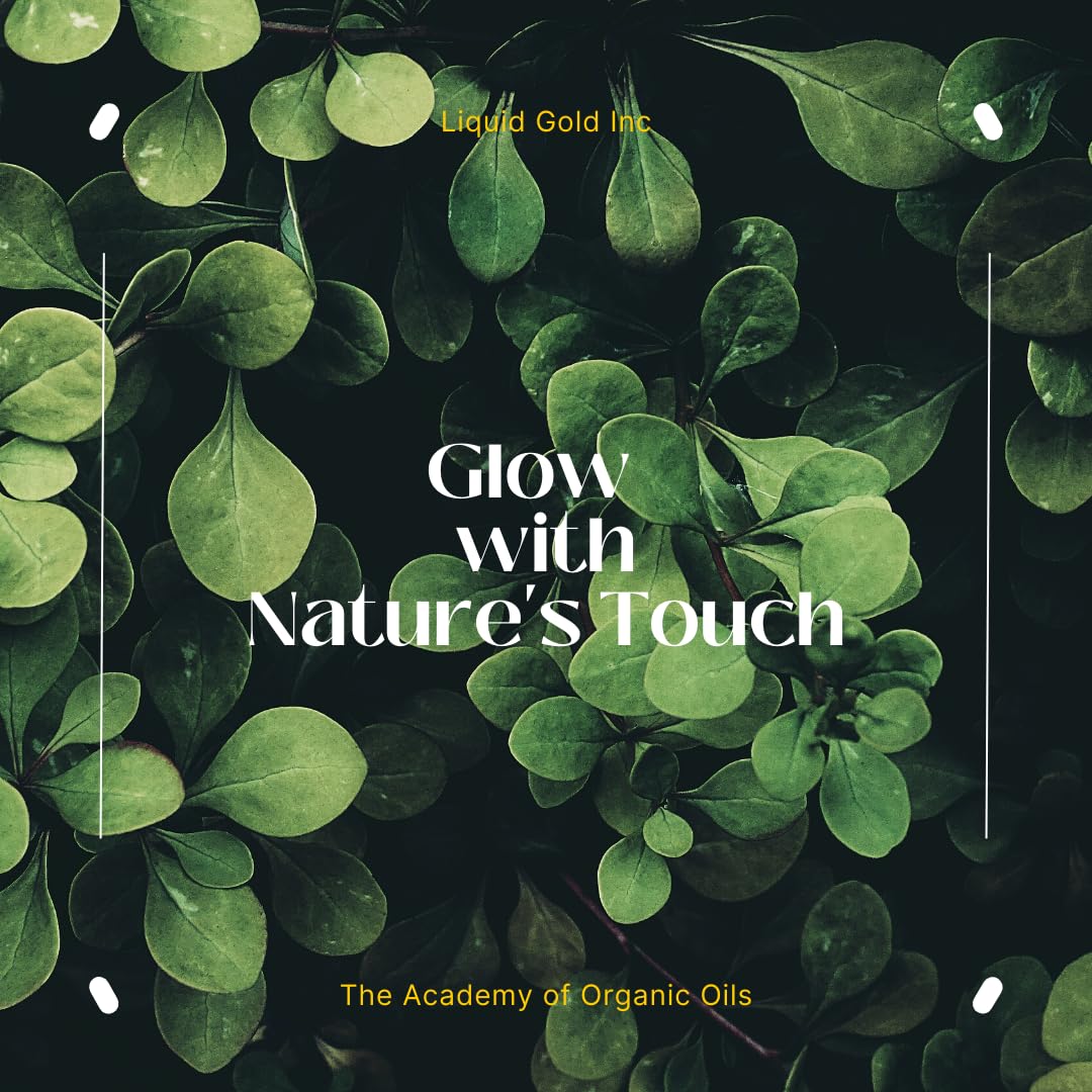 8 oz - Premium Aloe Vera Oil - 100% Pure Natural Organic Skin Hair Body Care - Image 4