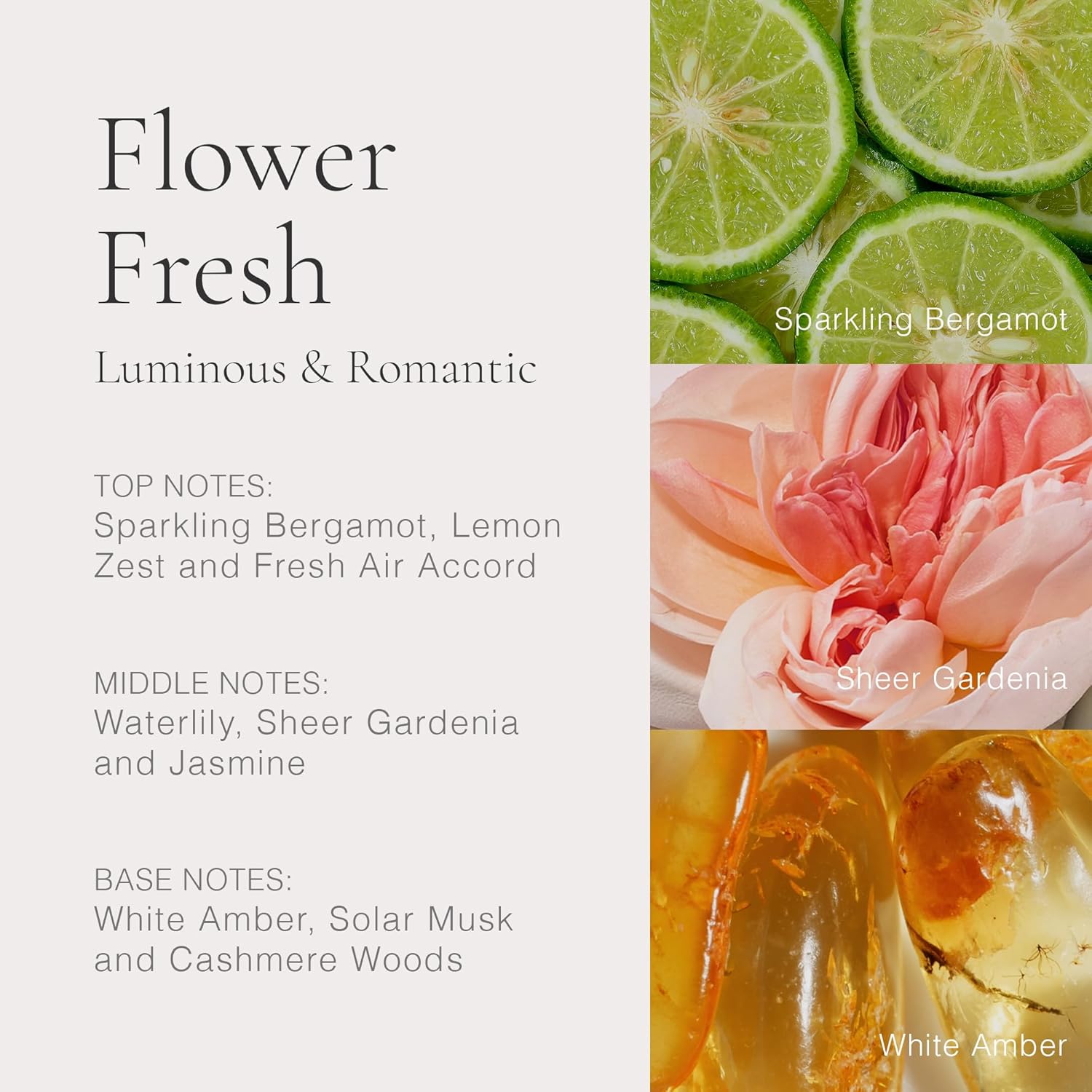 CLEAN CLASSIC Eau de Parfum, Layerable Perfume for Everyday Wear, Long Lasting, Uplifting Fragrance, Cruelty-Free, Vegan, Phthalate-Free, Paraben-Free - Image 4