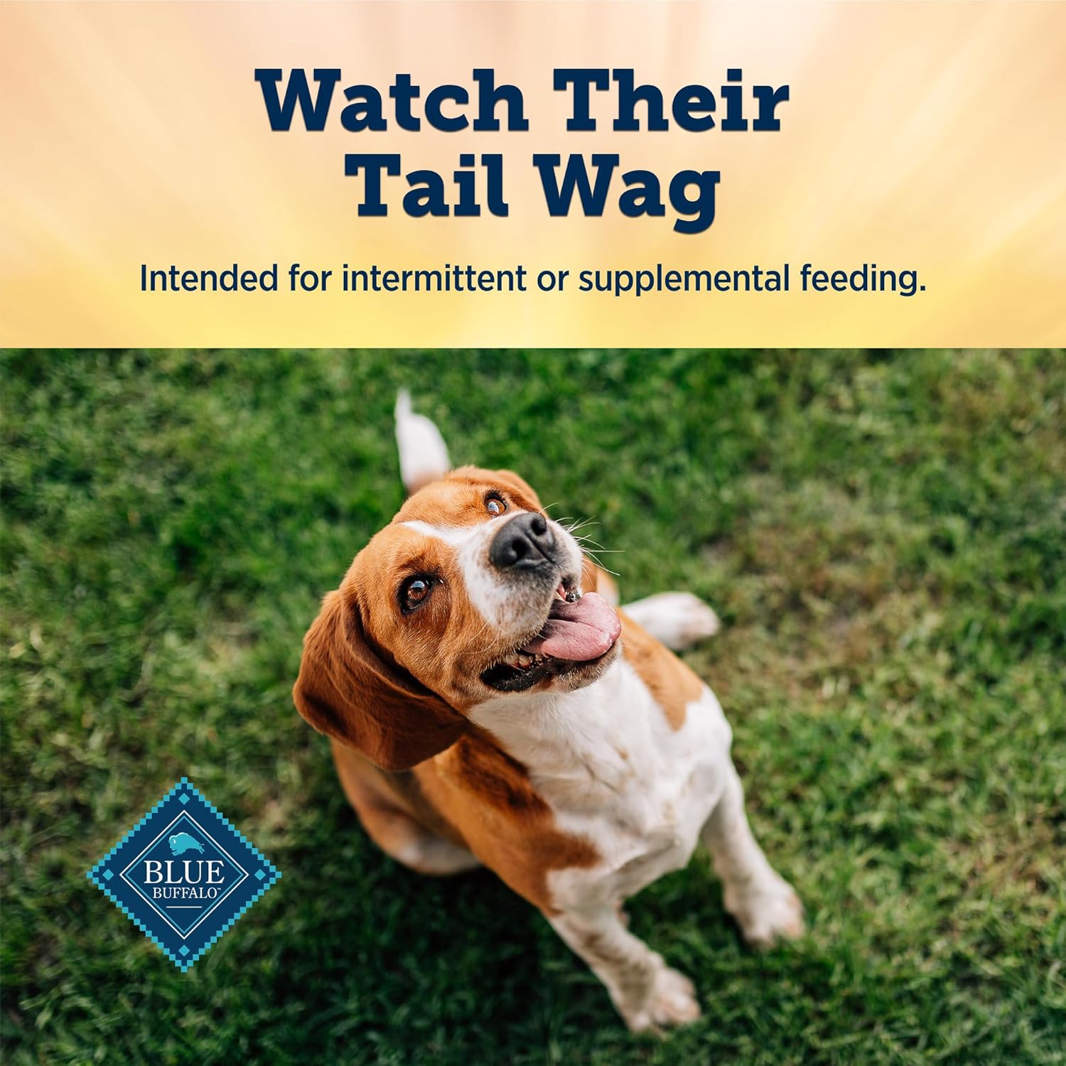 Blue Buffalo True Chews Premium Jerky Cuts Dog Treats, Made in The USA with Natural Ingredients, Beef, 30-oz. Bag - Image 8