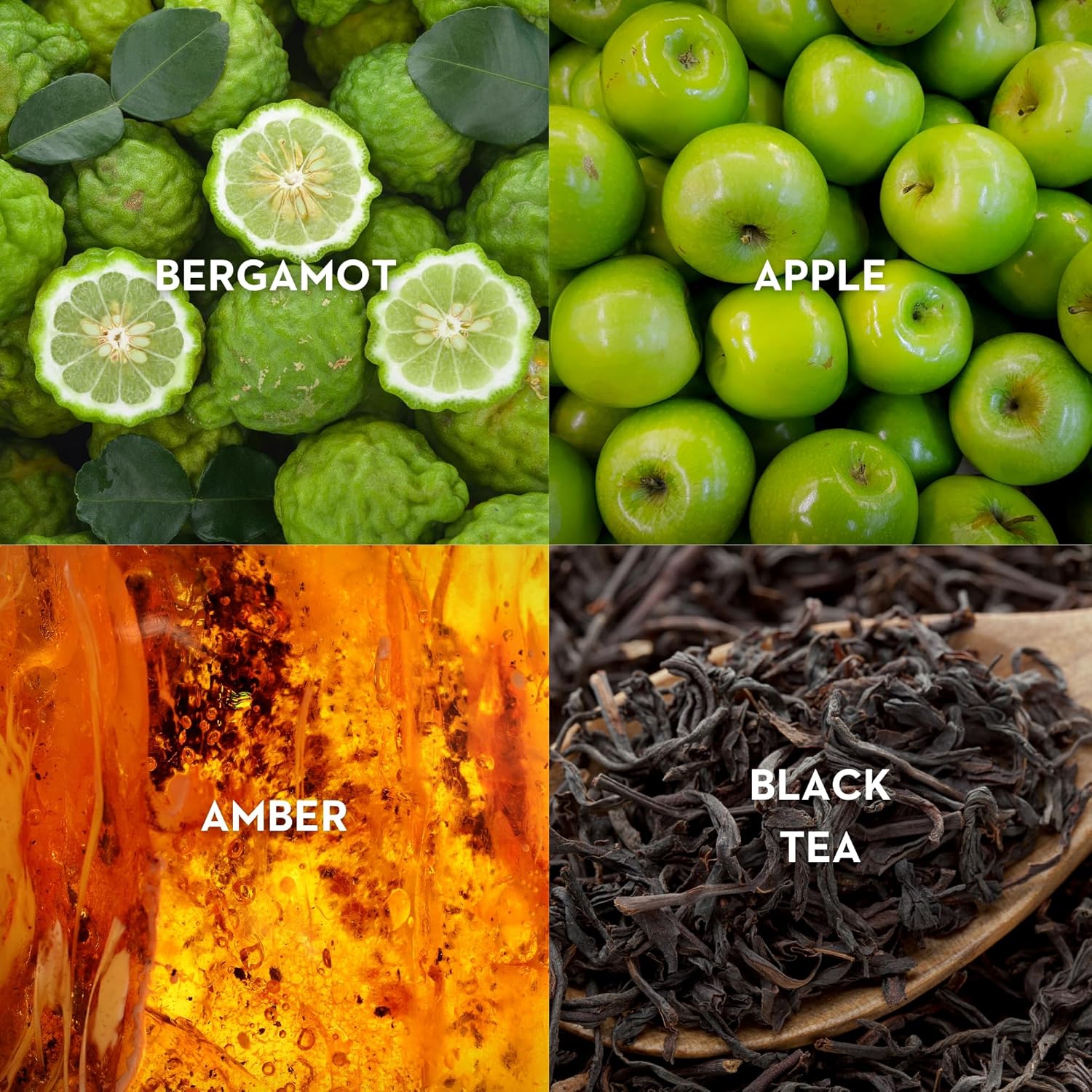 Dear Polly Eau de Parfum - Image 3