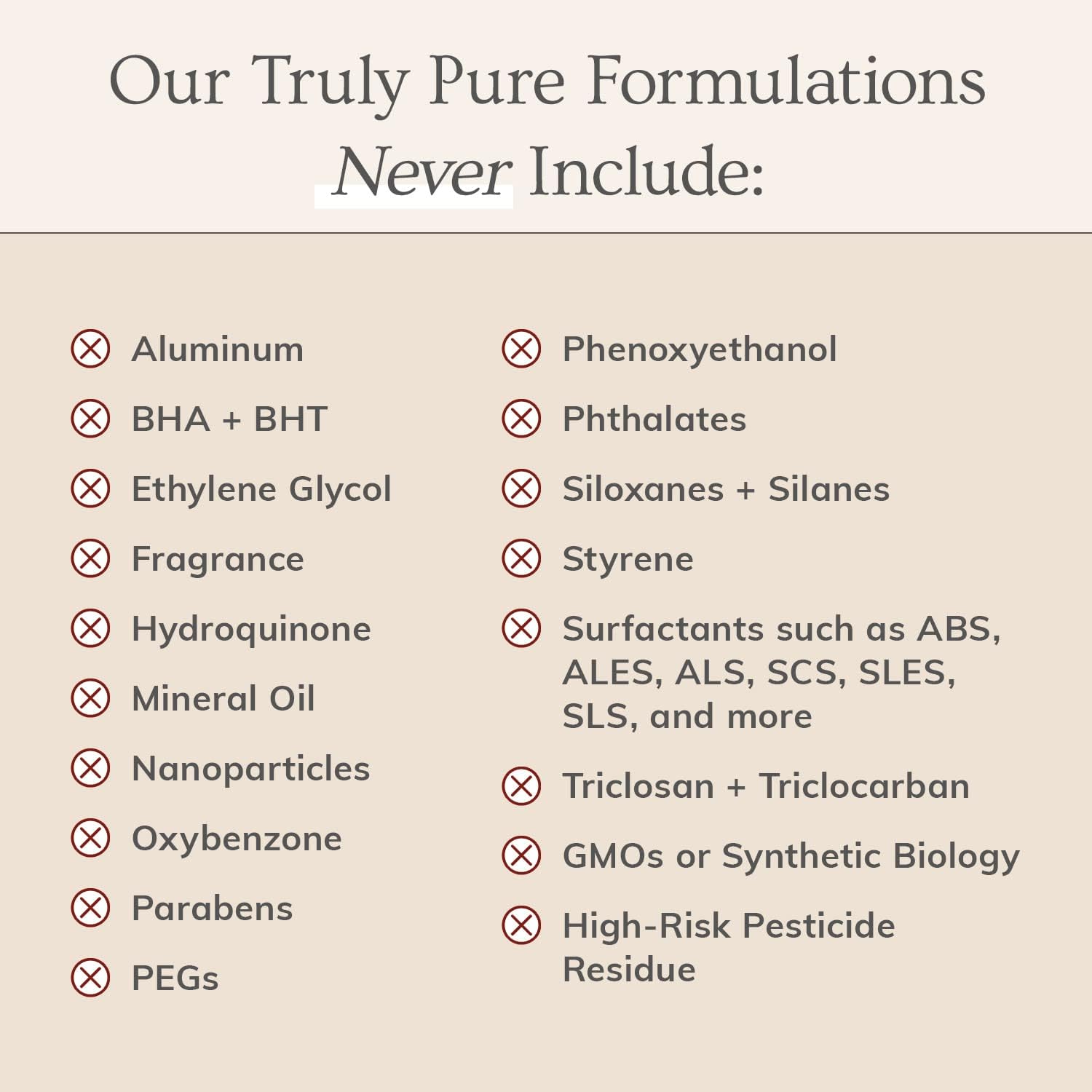 Annmarie Oud Révélé All-Natural Luxury Perfume – Sustainably Sourced Oud, Sandalwood, Jasmine & Rose – Long-Lasting, Unisex Fragrance for All Skin Types – 10ml Roll-On - Image 4