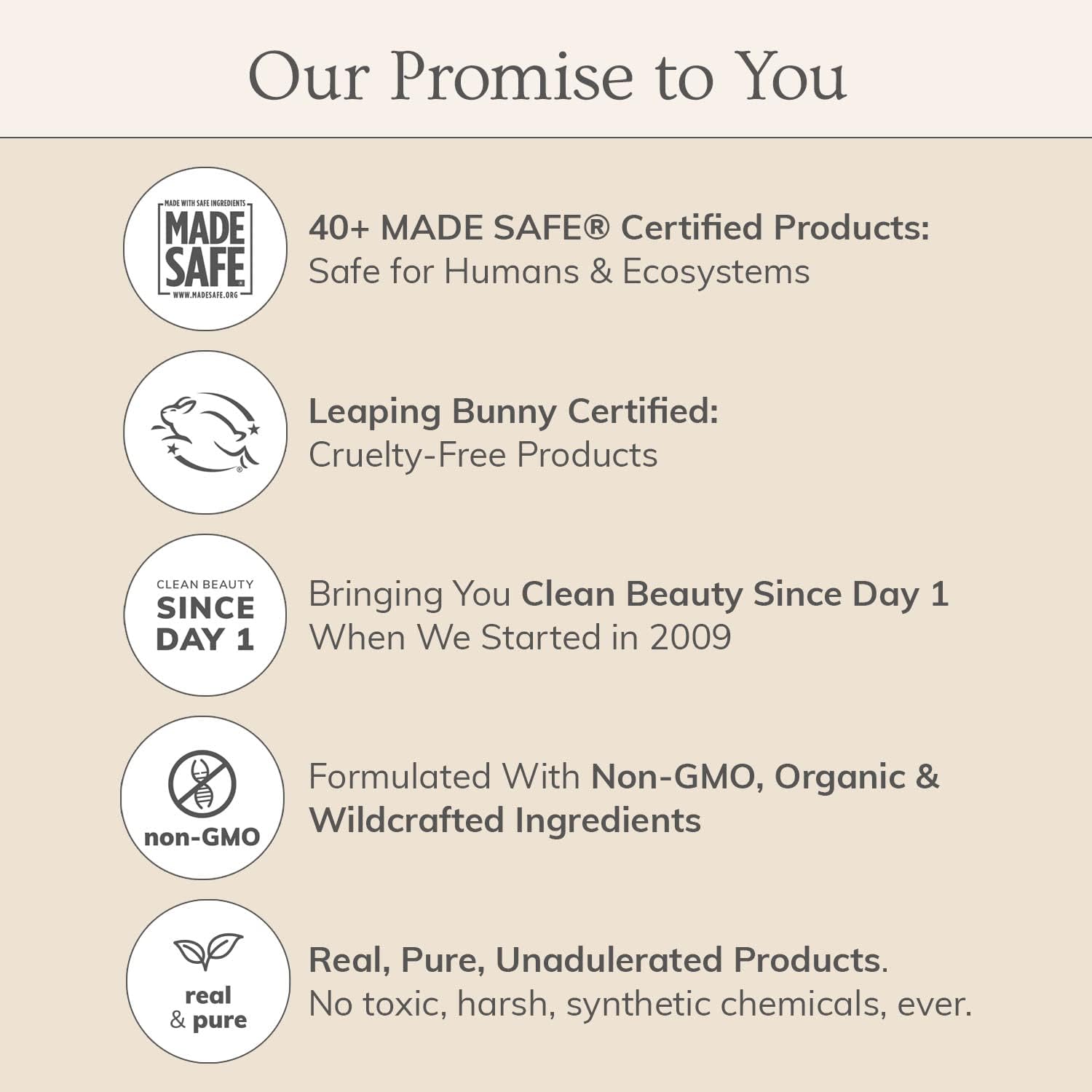 Annmarie Oud Révélé All-Natural Luxury Perfume – Sustainably Sourced Oud, Sandalwood, Jasmine & Rose – Long-Lasting, Unisex Fragrance for All Skin Types – 10ml Roll-On - Image 5