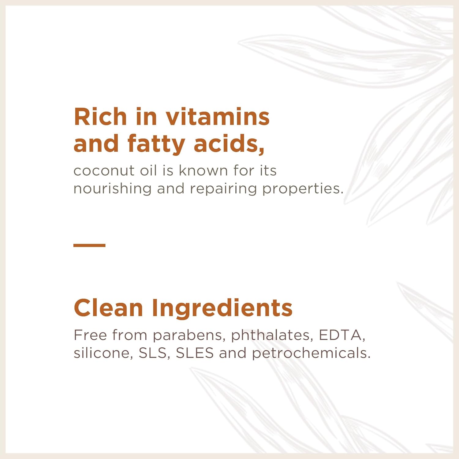 Soapbox Moisturizing Body Lotion, Coconut Milk & Sandalwood with Aloe and Shea Butter, Pack of 3 Hand Lotion Bottles, Vegan Skin Care Products, Moisturizer for Dry Skin, 3 Pack, 16oz Each - Image 5