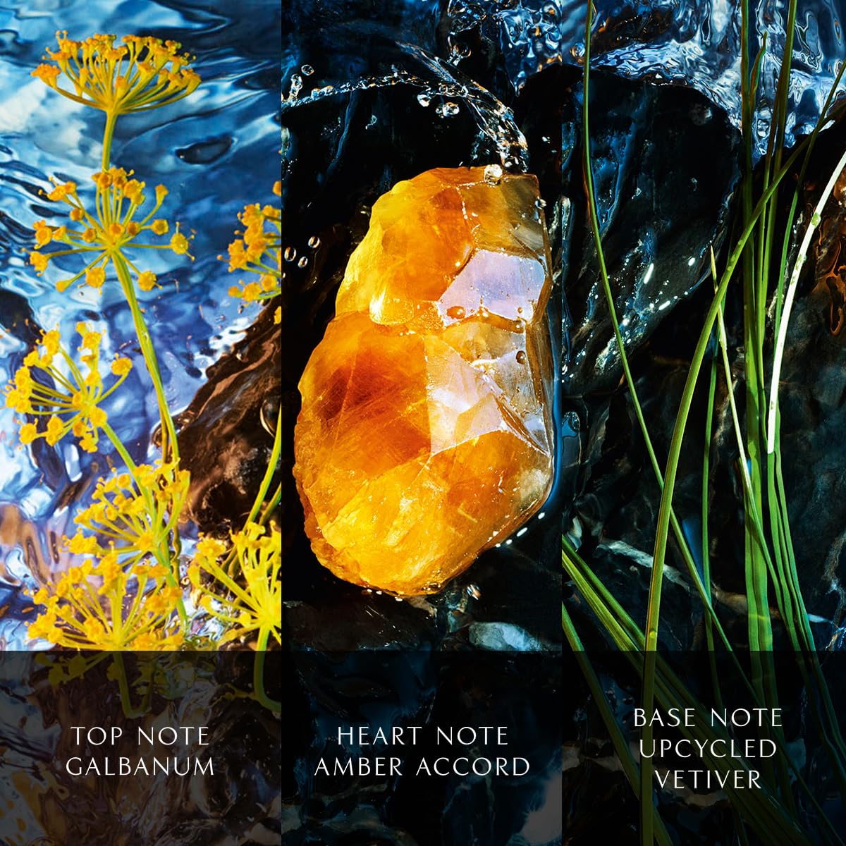 Davidoff Cool Water Reborn Eau de Parfum Intense – Woody Men's Cologne – With Notes of Galbanum, Amber & Vetiver – Long Lasting Fragrance - Image 6