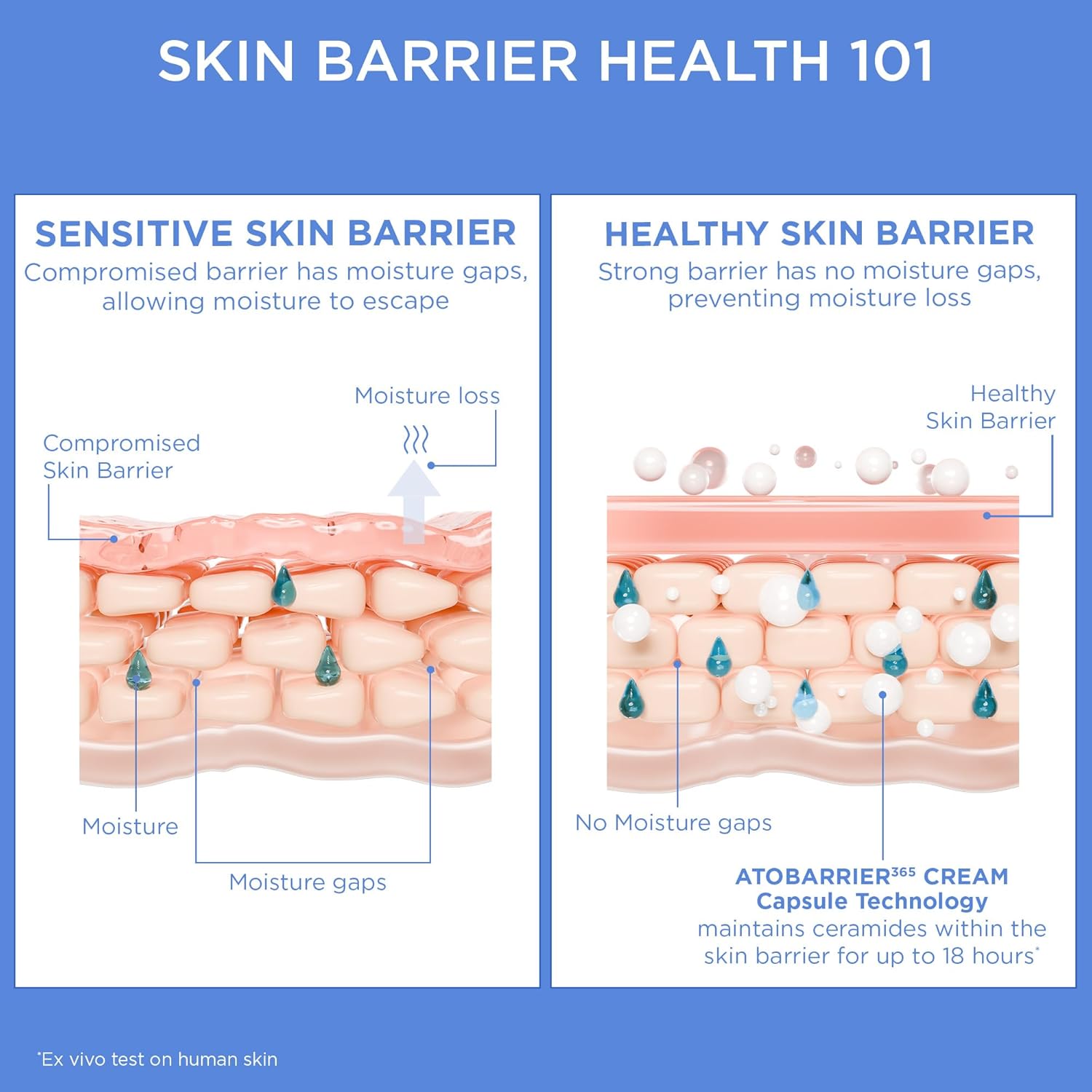 AESTURA ATOBARRIER365 Cream with Ceramides, Korean Face Moisturizer for Barrier Repair | 120H lasting Hydration, Ceramide Capsules, Dry & Sensitive Skin, Non-comedogenic, 80 mL / 2.70 fl.oz. - Image 5