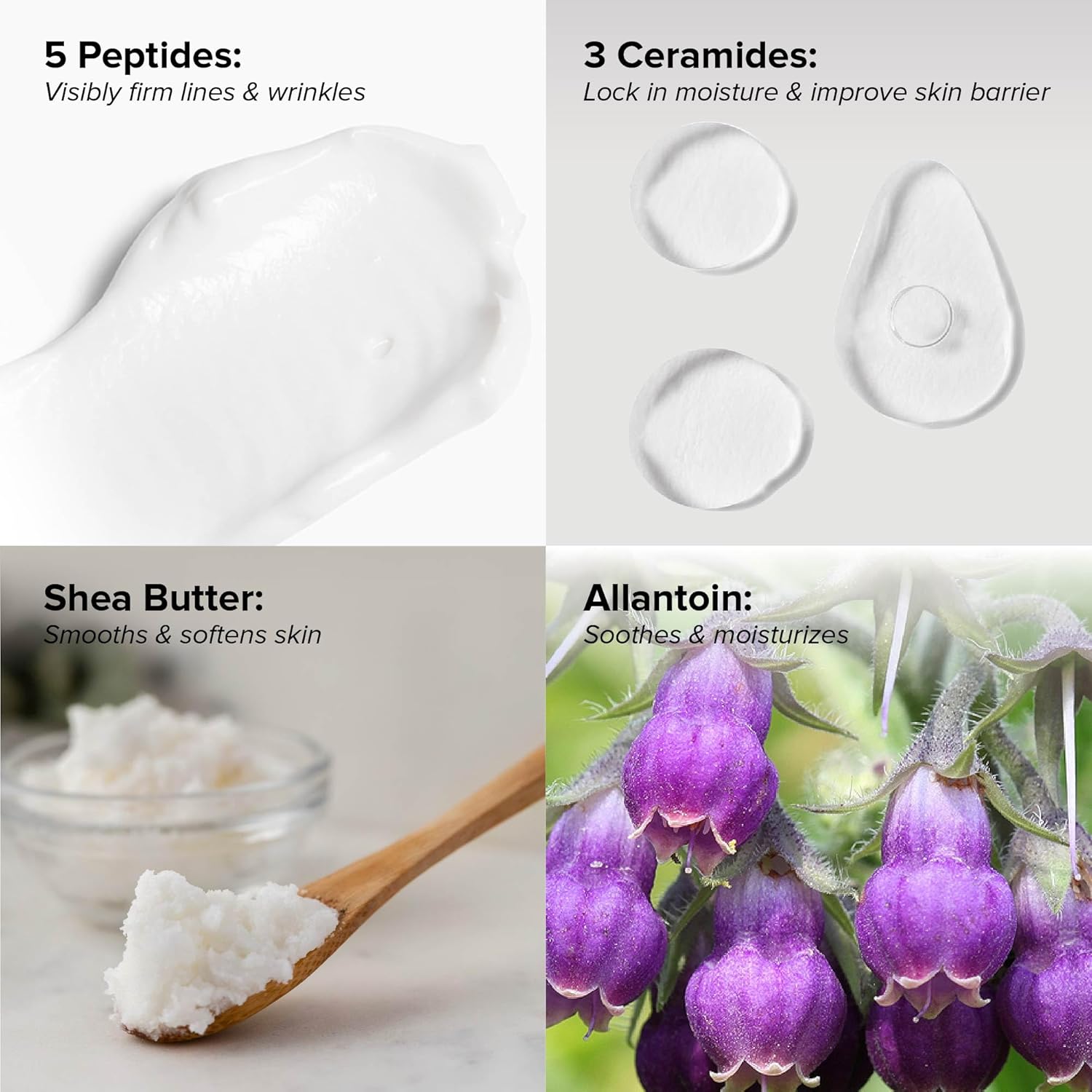 DRMTLGY Peptide Night Cream Face Moisturizer. Fragrance Free and Oil Free Hydrating Facial Moisturizer for All Skin Types. 2.1 oz, 2 pack - Image 3