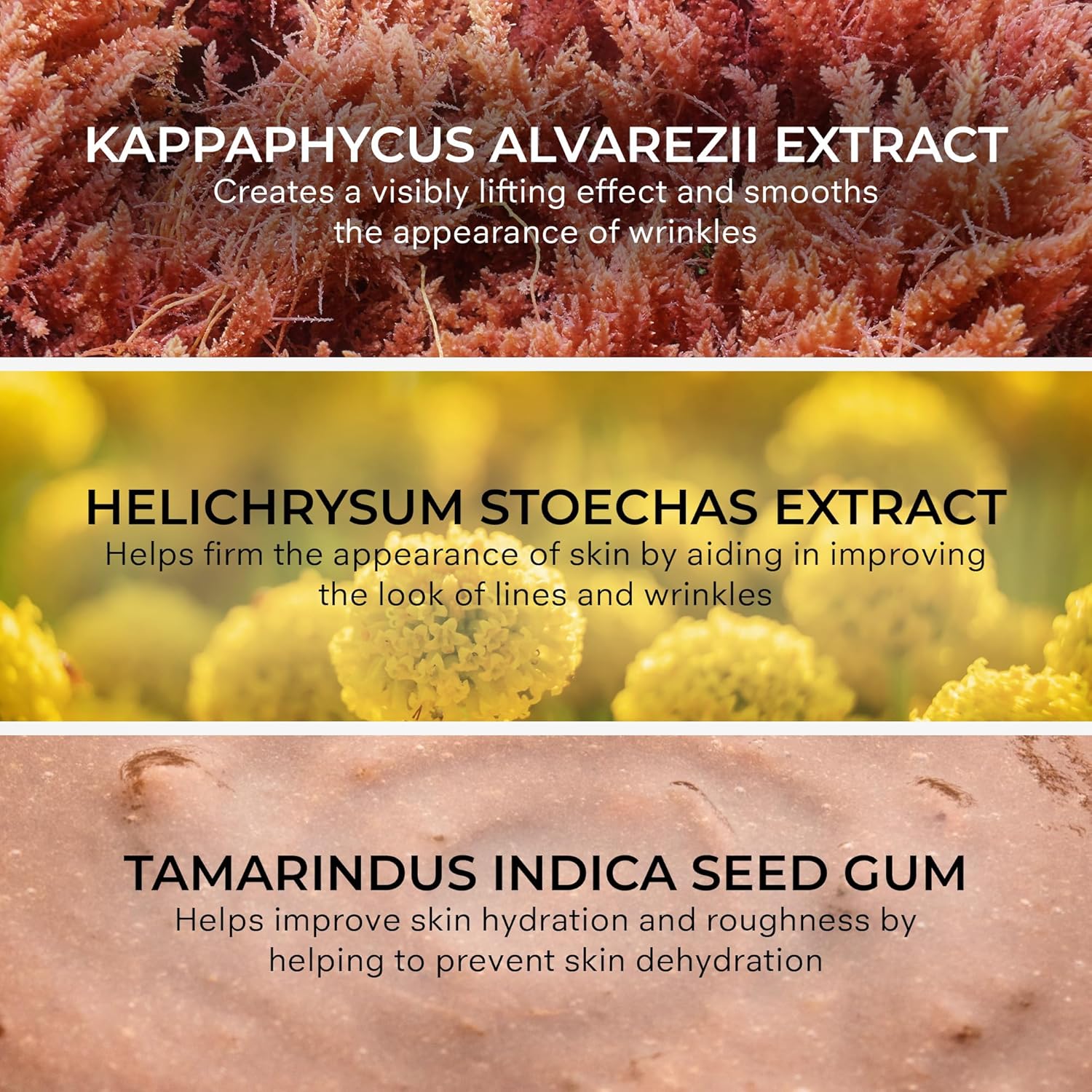 COSMEDIX Humidify Face Moisturizer for Women - Hydrating, Deep Moisturizing, Firming, Anti-Wrinkles Cream for Rough & Dry Skin - Facial Skin Care Products for Softer, Smoother, & Firmer Skin - Image 3