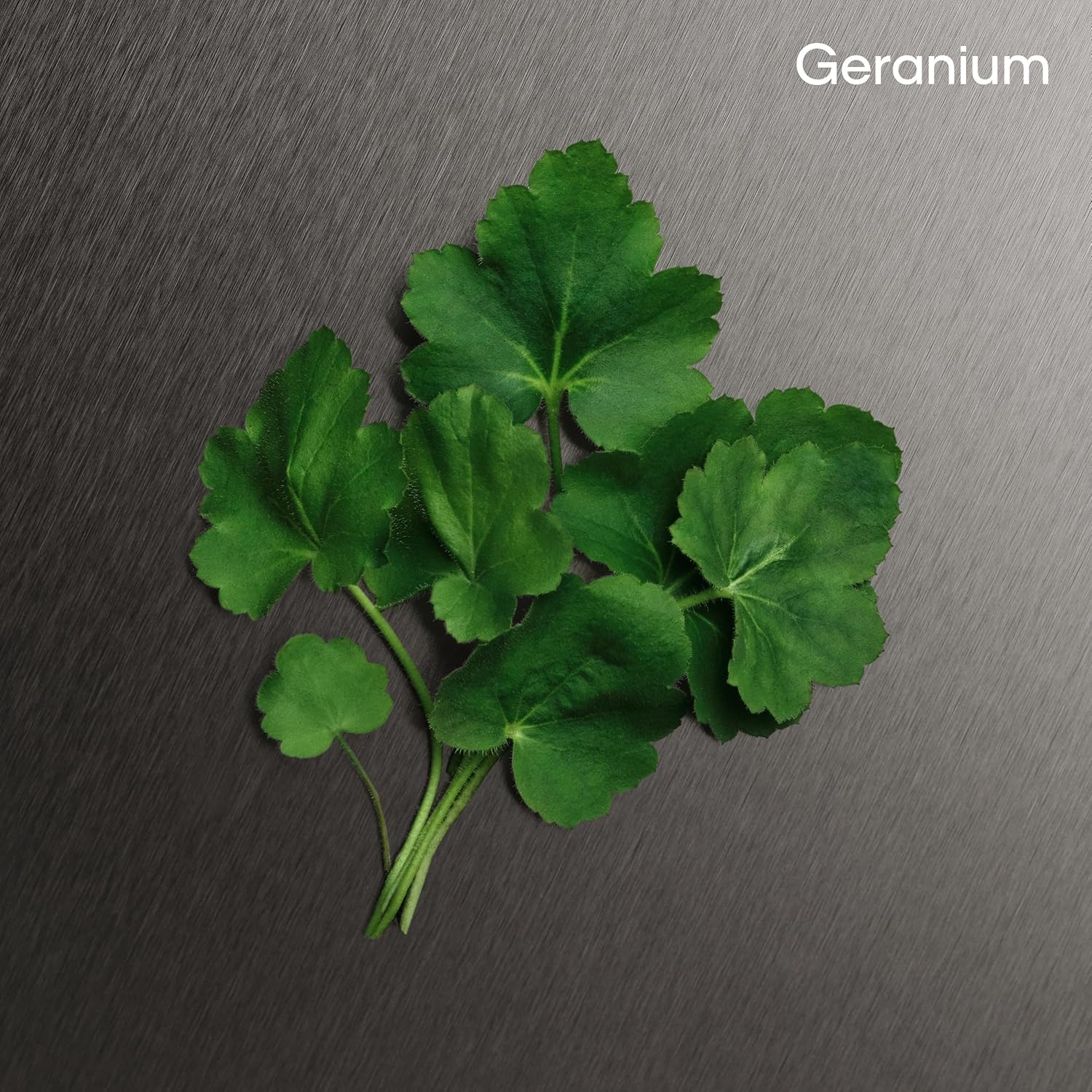 Calvin Klein Eternity Men's Deodorant Spray– With Notes of Mandarin, Sage, Cedarwood & Amber – 5.3 fl oz. - Image 5