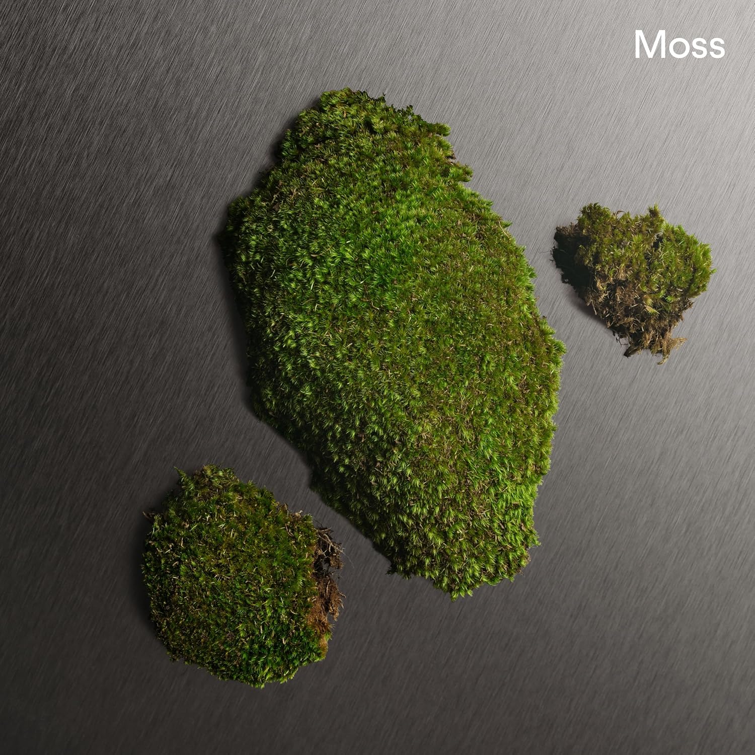 Calvin Klein Eternity Men's Deodorant Spray– With Notes of Mandarin, Sage, Cedarwood & Amber – 5.3 fl oz. - Image 4