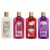 Spa Luxury Body Wash, 12.5 oz., Pack of 4, Cherry Blossom, Everlasting Love, Love Struck, Vanilla Sugar