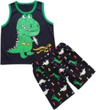 Toddler Boys Round Neck Sleeveless Dinosaurs Print Top and Pants for Boys Summer Outfits Infant Bow