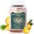 Premium Feminine Balance Gummies – for Women’s Health & Wellness – Immune Support – Vegan, Gluten-Free & Halal – Hawaiian Pineapple – 60 Gummies – 30 Servings (1)