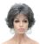 Kalyss 10″ Short Curly Wavy Wig with Bangs for Women Premium Heat Resistant Synthetic Hair Wig (Gray)