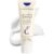 Embryolisse Lait-Crème Concentré, Multifunction Daily Moisturizer, Primer, and Makeup Remover, Suitable for All Skin Types. French Face Cream With Shea Butter & Aloe Vera