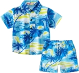 Summer Toddler Boys Short Sleeve Coconut Tree Prints Tops Shorts Two Outfits Set For Kids Infant Boy